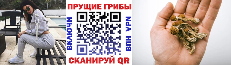 Галлюциногенные грибы прущие грибы  где продают   OMG   сайты даркнета клад  Кострома 