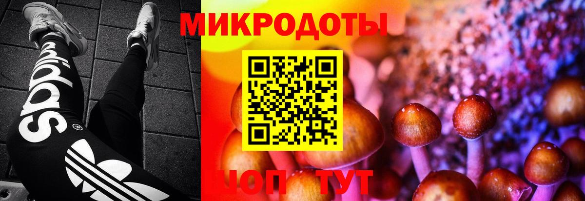Кострома  Галлюциногенные грибы Magic Shrooms  Псилоцибиновые грибы прущие грибы  Вход с VPN 